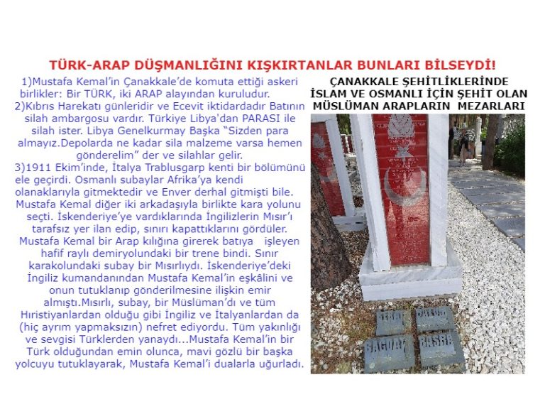Arap DÜŞMANLIK-MISIR MUSTAFA KEMAL -2-