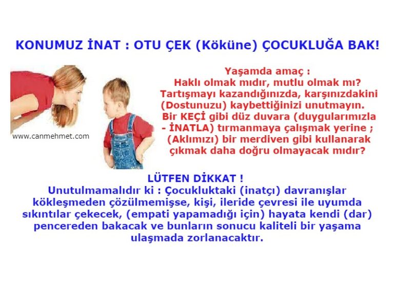 inat ve inatçılık