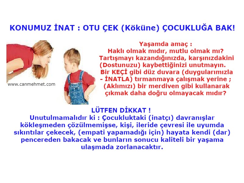 inat ve inatçılık