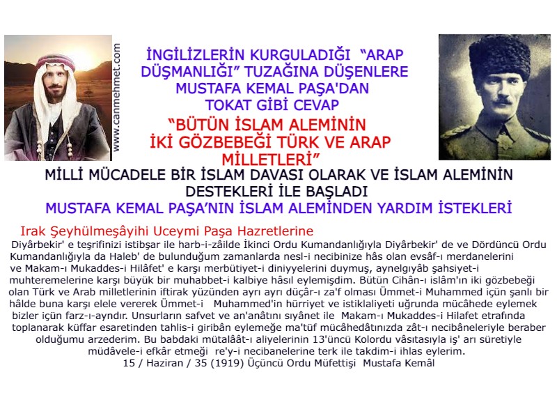 mustafa kemal-arap düşmanlığı
