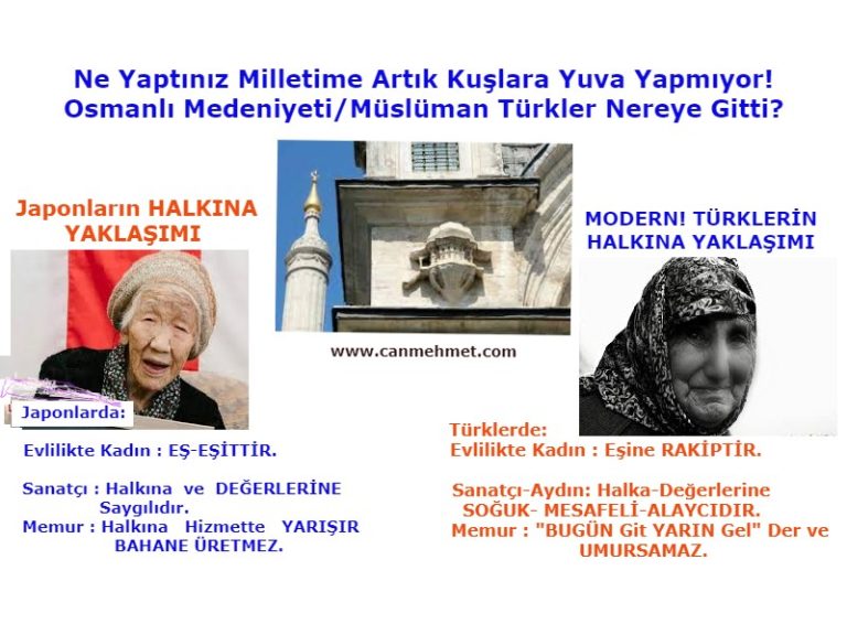 Neden KUŞLARA YUVA YAPMIYOR