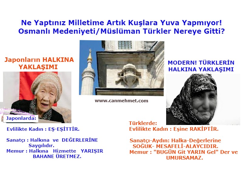 Neden KUŞLARA YUVA YAPMIYOR