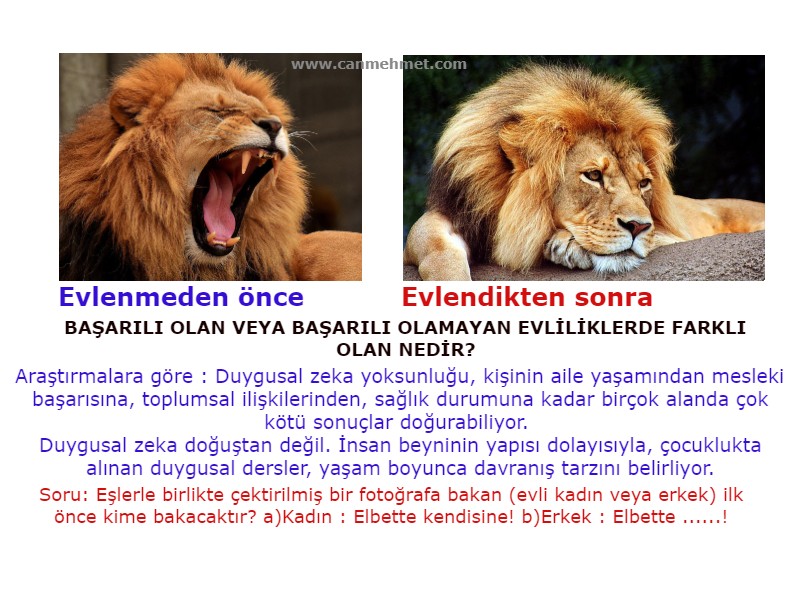 kadın ve erkek cehalet empati