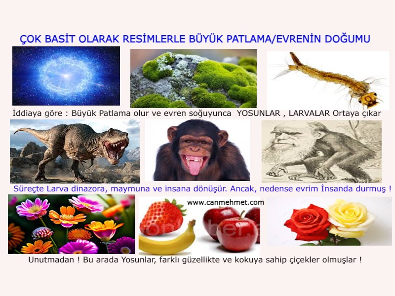 DNA Evrim