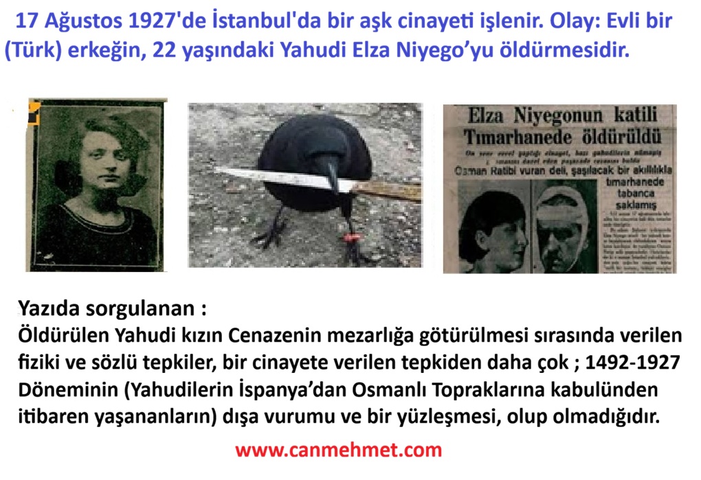 Blog Elza komple resim -2-